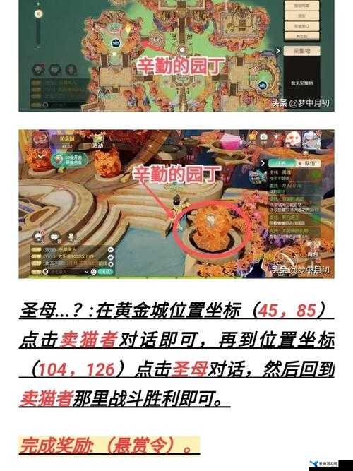 梦想新大陆游戏委托任务全面解析，环数划分与具体任务内容揭秘