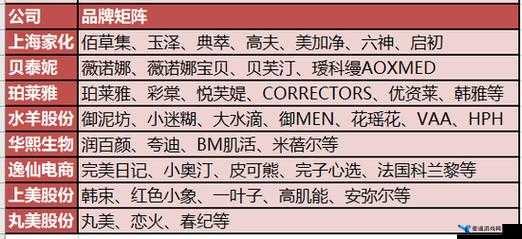 成品网源码 78w78 是什么相关内容及详细解析